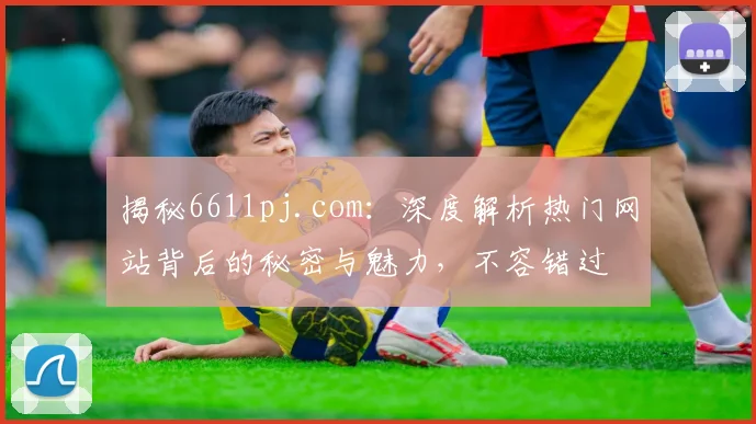 揭秘6611pj.com：深度解析热门网站背后的秘密与魅力，不容错过