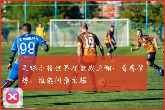 足球小将世界杯激战正酣，青春梦想，谁能问鼎荣耀