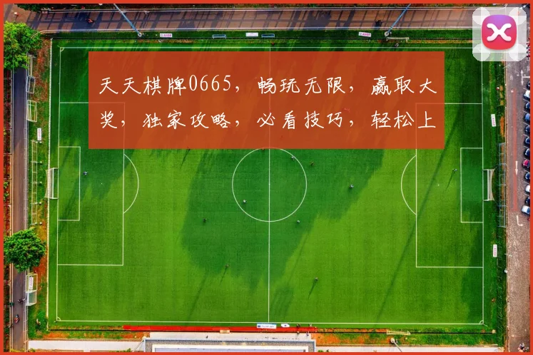 天天棋牌0665，畅玩无限，赢取大奖，独家攻略，必看技巧，轻松上手
