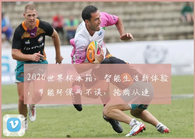 2026世界杯冰箱，智能生活新体验，节能环保两不误，抢购从速