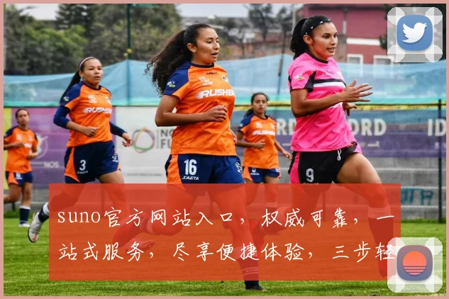 suno官方网站入口，权威可靠，一站式服务，尽享便捷体验，三步轻松进入